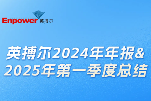 一图读懂：英搏尔2024年年报&2025年第一季度总结