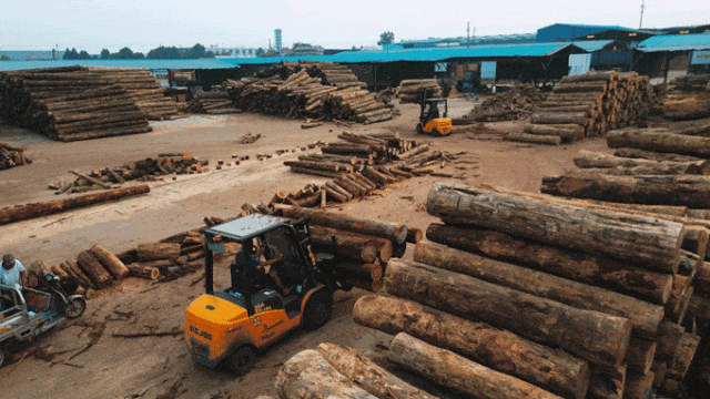 拒绝黑烟滚滚，别格乔掀起木业绿色搬运革命
